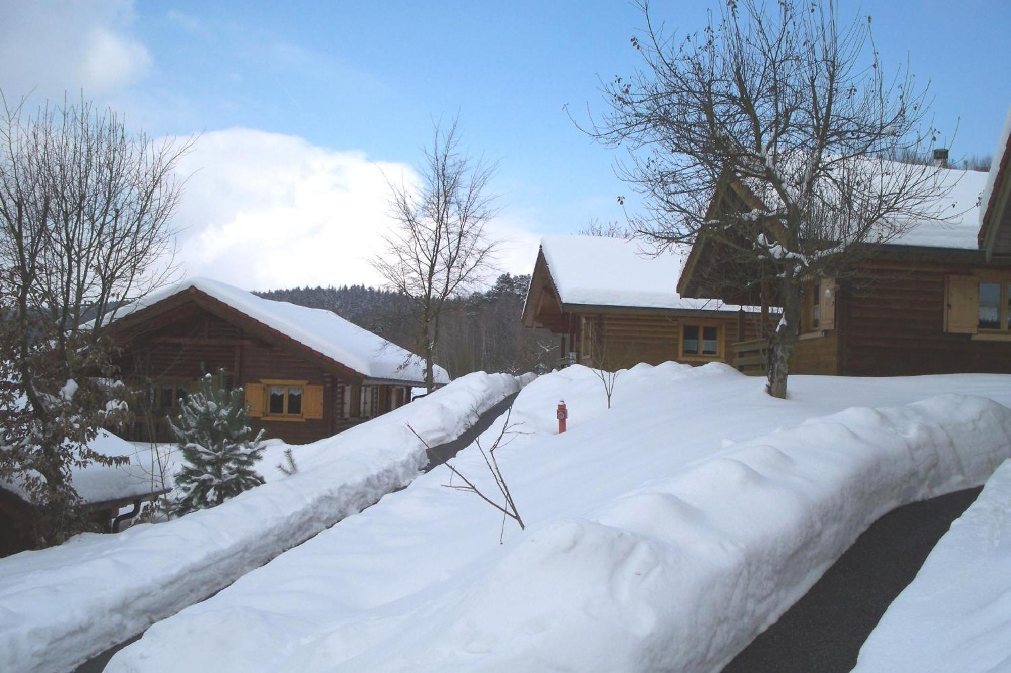 Blockhaus Hedwig Villa Stamsried Dış mekan fotoğraf