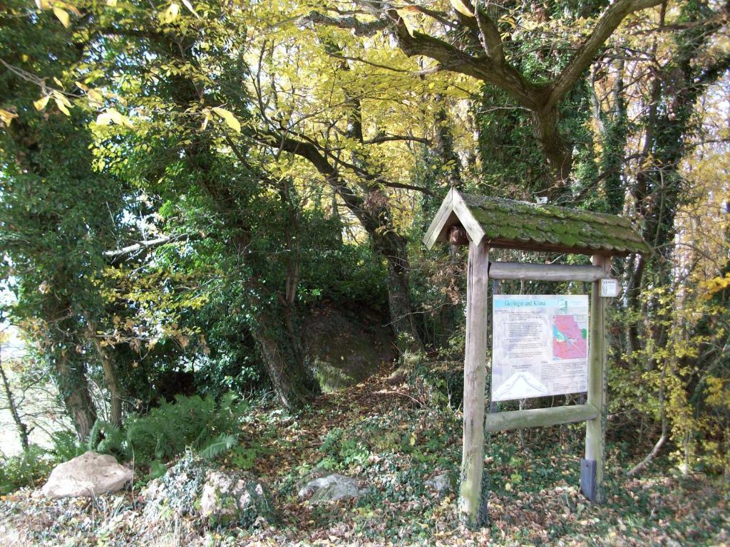 Blockhaus Hedwig Villa Stamsried Dış mekan fotoğraf