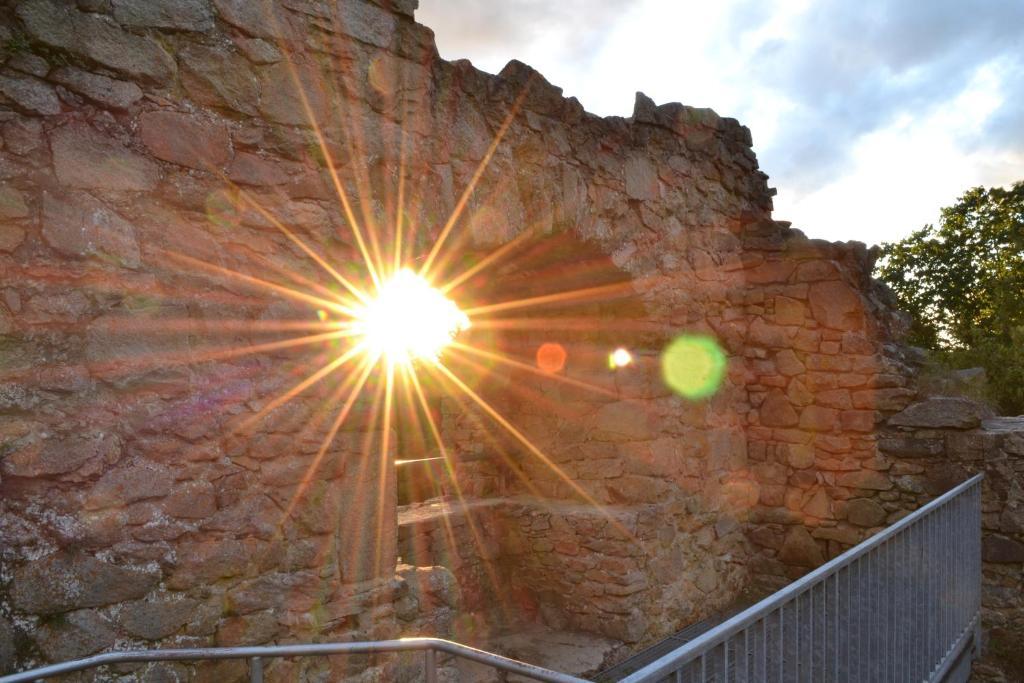 Blockhaus Hedwig Villa Stamsried Dış mekan fotoğraf